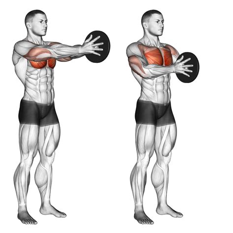 Svend press works wonders in isolating your pecs. Including this exercise in your chest workout gives your pectorals a defined look. That is the reason why some of the physique athletes with great chest development rely on performing the svend press at the end of their chest training session. 